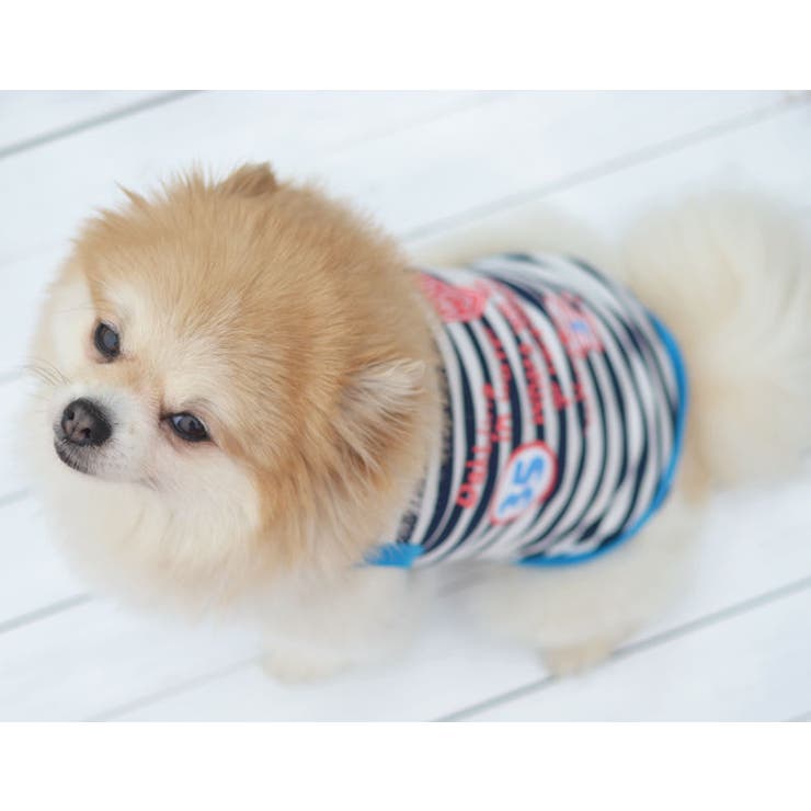 犬服 ドッグウェア 犬用ウェア | PlusNao | 詳細画像5 