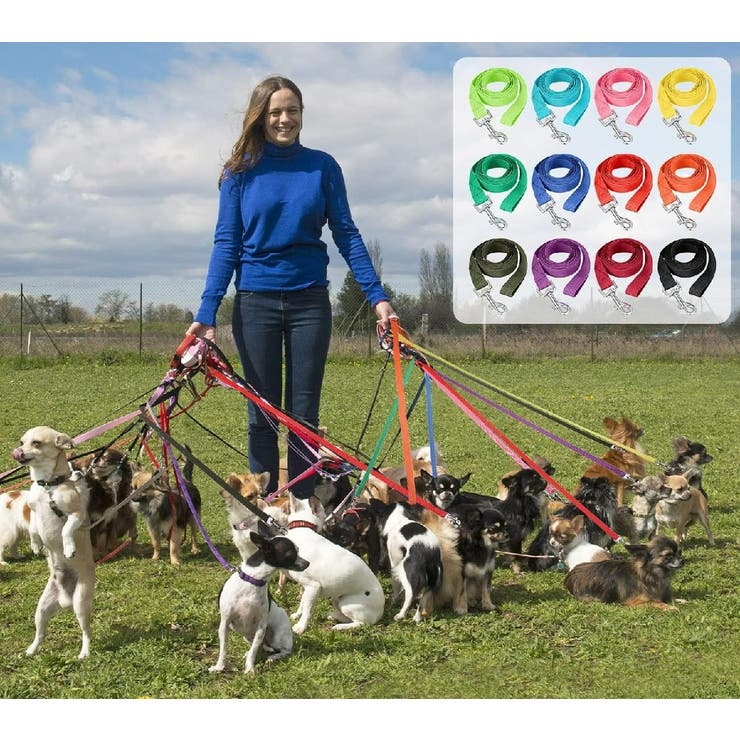 リード リーシュコード スタンダードリード | PlusNao | 詳細画像2