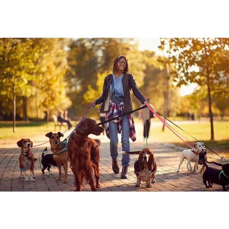 リード リーシュコード スタンダードリード | PlusNao | 詳細画像3