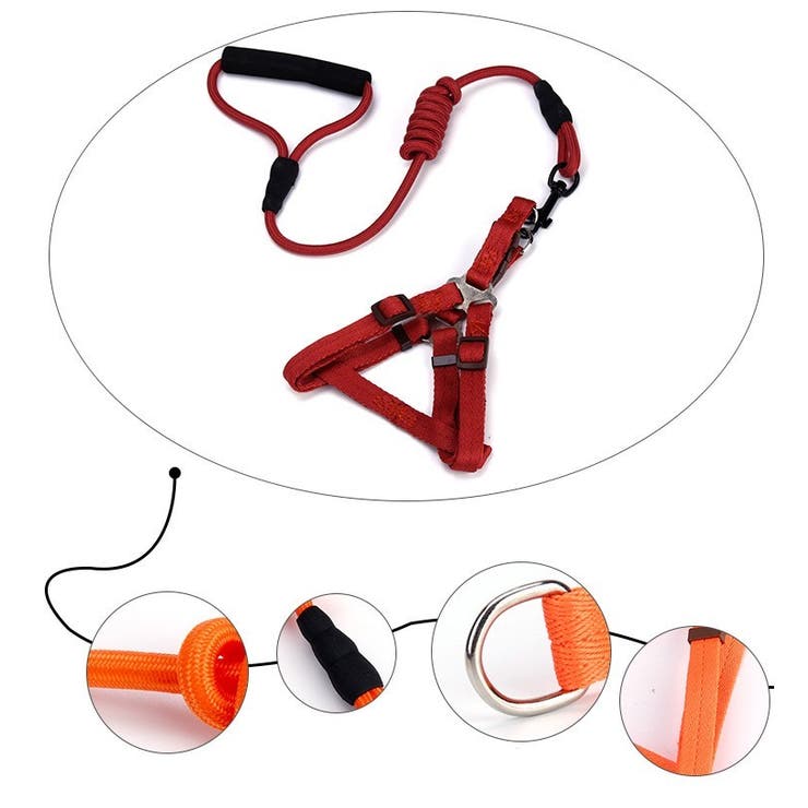 リード ハーネス 2点セット[品番：FQ000162540]｜PlusNao（プラスナオ