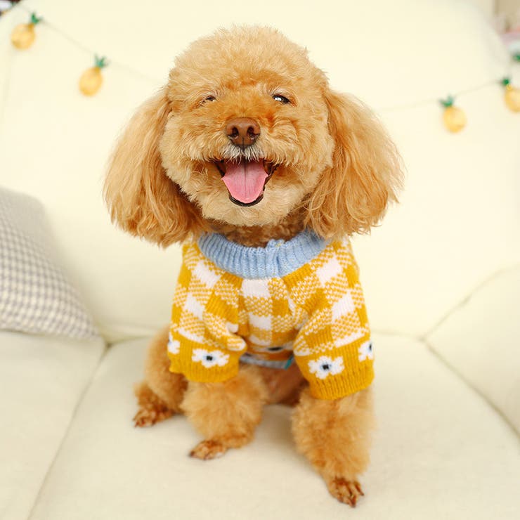 ペットウェア ペット服 犬 | PlusNao | 詳細画像4 