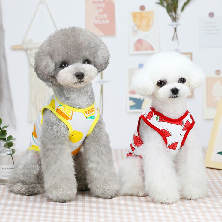 ドッグウェア 犬の服 タンクトップ | PlusNao | 詳細画像2 
