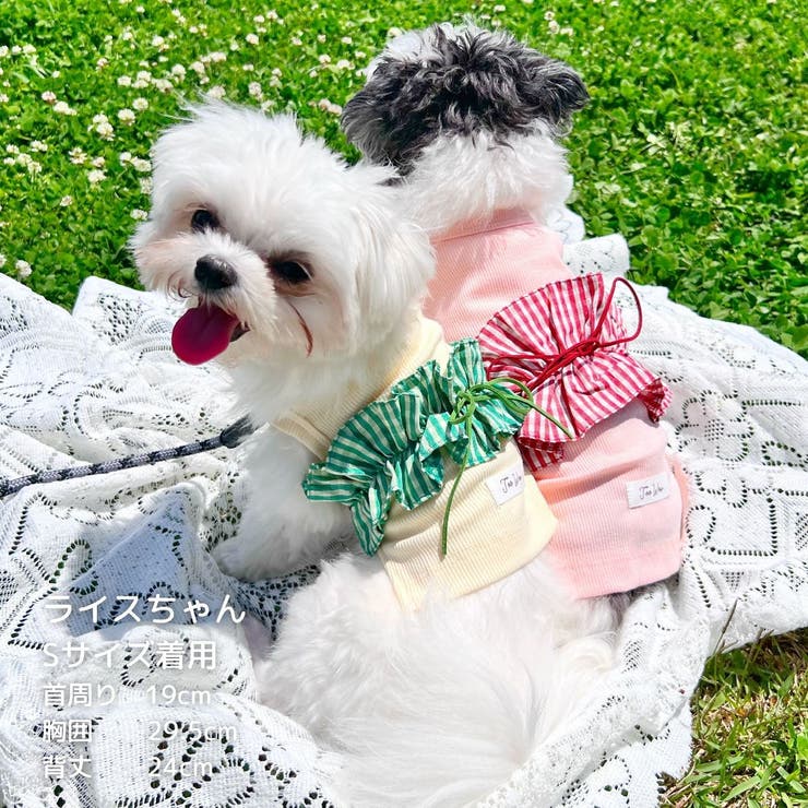 【ギンガムリボンタンクトップ】犬 服 犬服 | PlusNao | 詳細画像13 