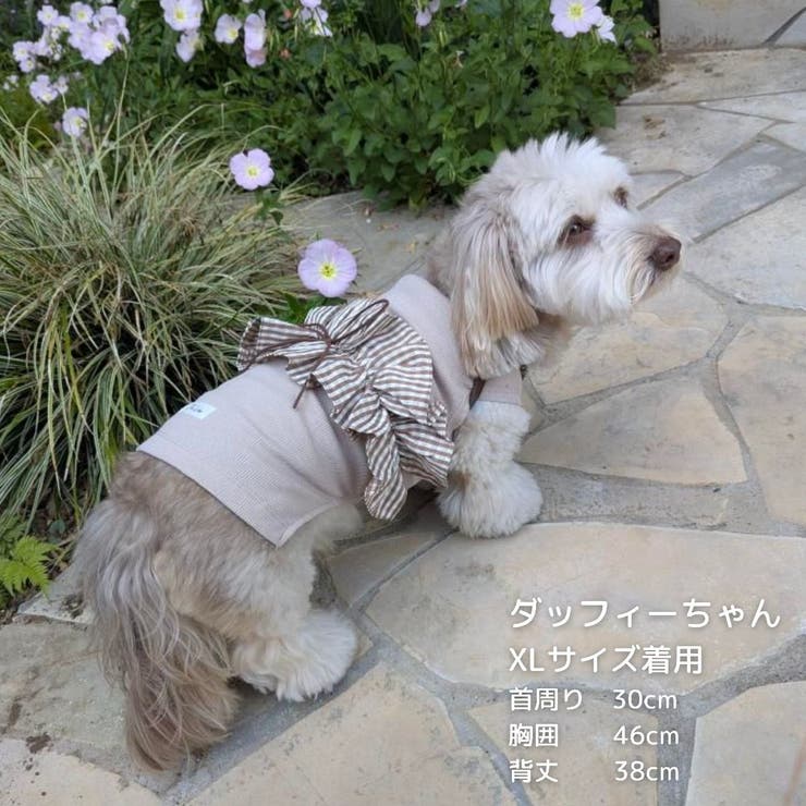 【ギンガムリボンタンクトップ】犬 服 犬服 | PlusNao | 詳細画像16 