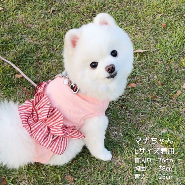 【ギンガムリボンタンクトップ】犬 服 犬服 | PlusNao | 詳細画像17 