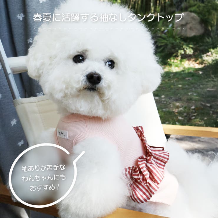 【ギンガムリボンタンクトップ】犬 服 犬服 | PlusNao | 詳細画像9 