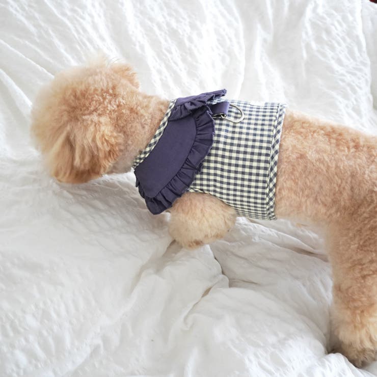 【ギンガムチェックハーネス&リード】ハーネス リード 2点セット | PlusNao | 詳細画像12 