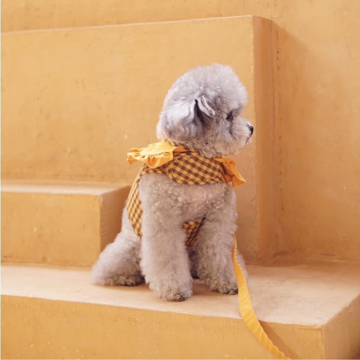 【ギンガムチェックハーネス&リード】ハーネス リード 2点セット | PlusNao | 詳細画像14 