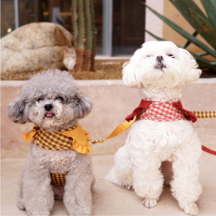 【ギンガムチェックハーネス&リード】ハーネス リード 2点セット | PlusNao | 詳細画像15 