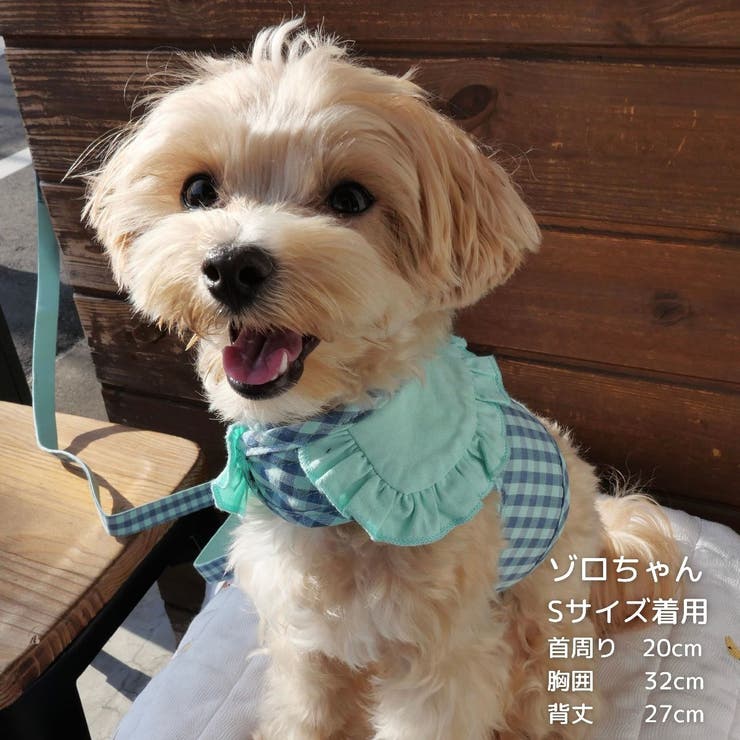 【ギンガムチェックハーネス&リード】ハーネス リード 2点セット | PlusNao | 詳細画像19 