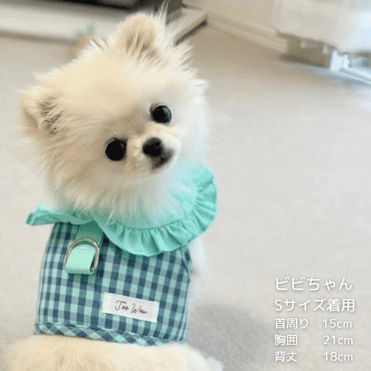 【ギンガムチェックハーネス&リード】ハーネス リード 2点セット | PlusNao | 詳細画像23 