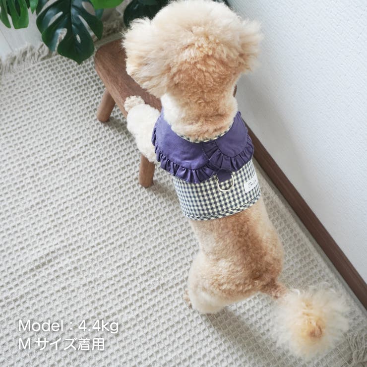 【ギンガムチェックハーネス&リード】ハーネス リード 2点セット | PlusNao | 詳細画像3 