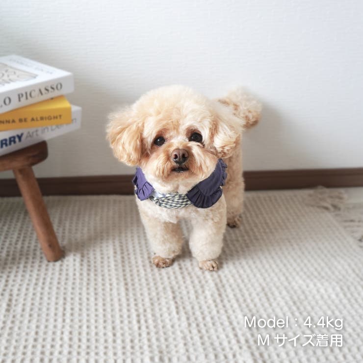 【ギンガムチェックハーネス&リード】ハーネス リード 2点セット | PlusNao | 詳細画像4 