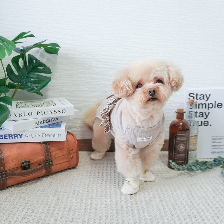 【メッシュドッグシューズ】犬 靴 脱げない | PlusNao | 詳細画像11 