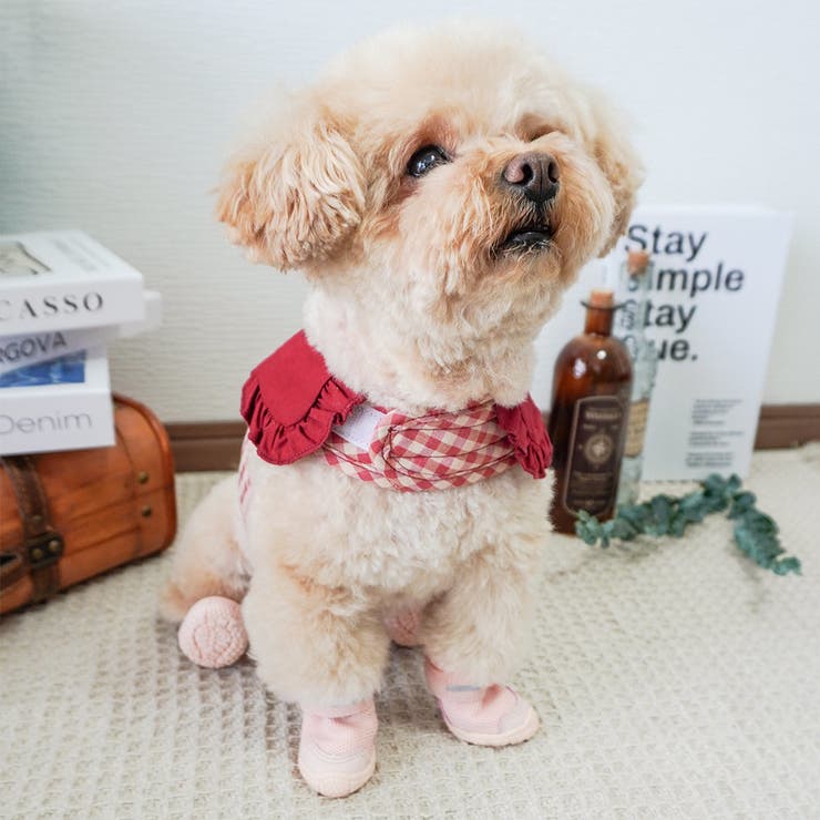 【メッシュドッグシューズ】犬 靴 脱げない | PlusNao | 詳細画像12 