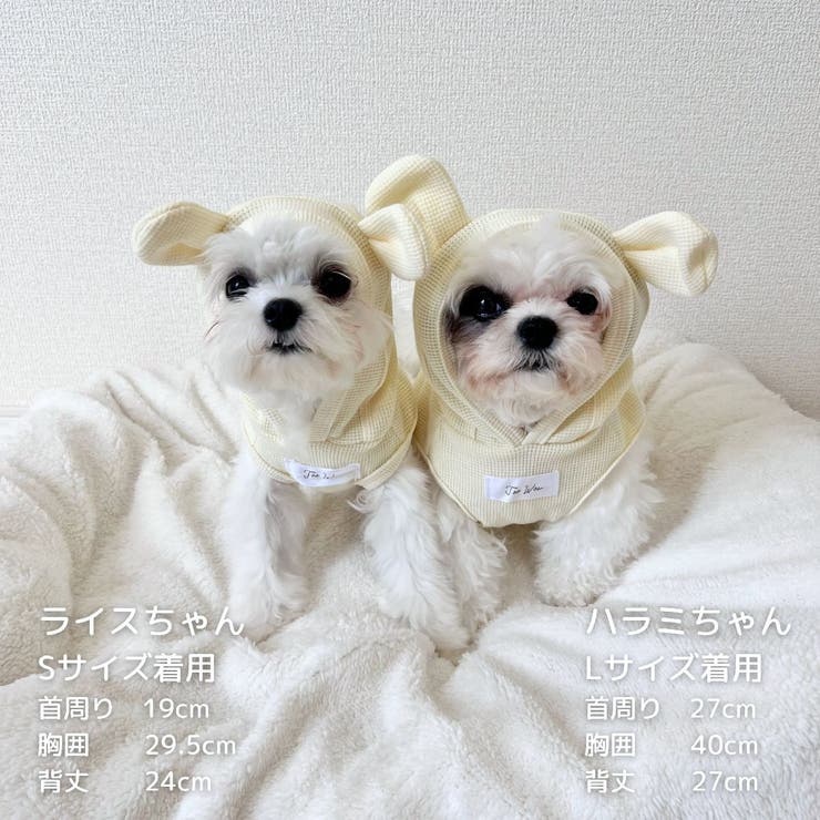 【くま耳フードタンクトップ】S M L | PlusNao | 詳細画像14 