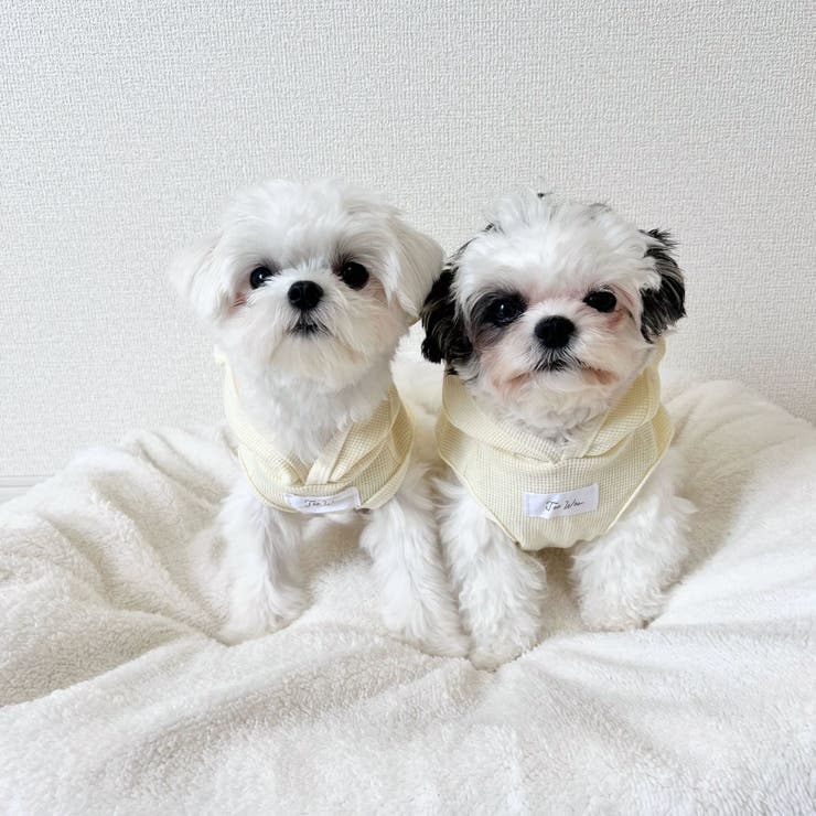 【くま耳フードタンクトップ】S M L | PlusNao | 詳細画像15 