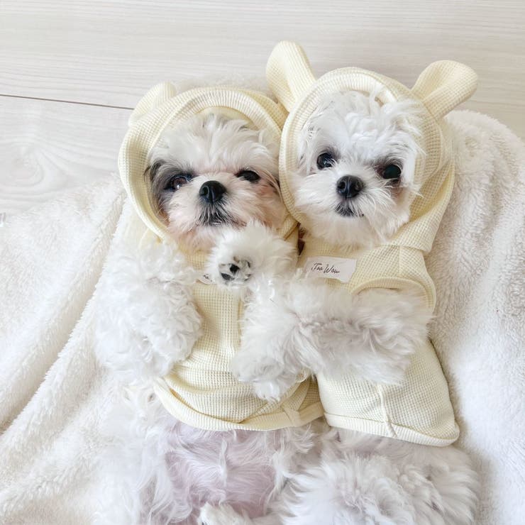 【くま耳フードタンクトップ】S M L | PlusNao | 詳細画像16 