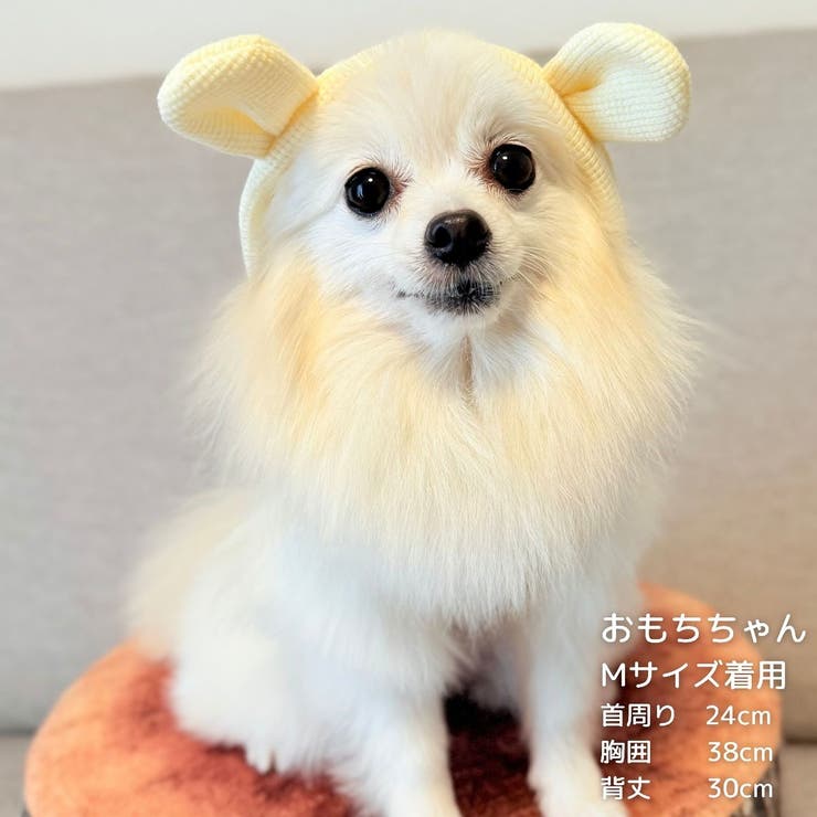 【くま耳フードタンクトップ】S M L | PlusNao | 詳細画像19 