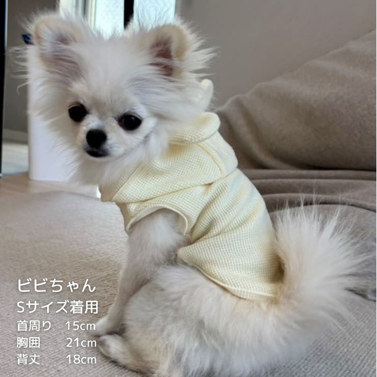 【くま耳フードタンクトップ】S M L | PlusNao | 詳細画像22 