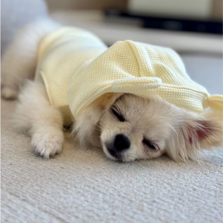 【くま耳フードタンクトップ】S M L | PlusNao | 詳細画像23 