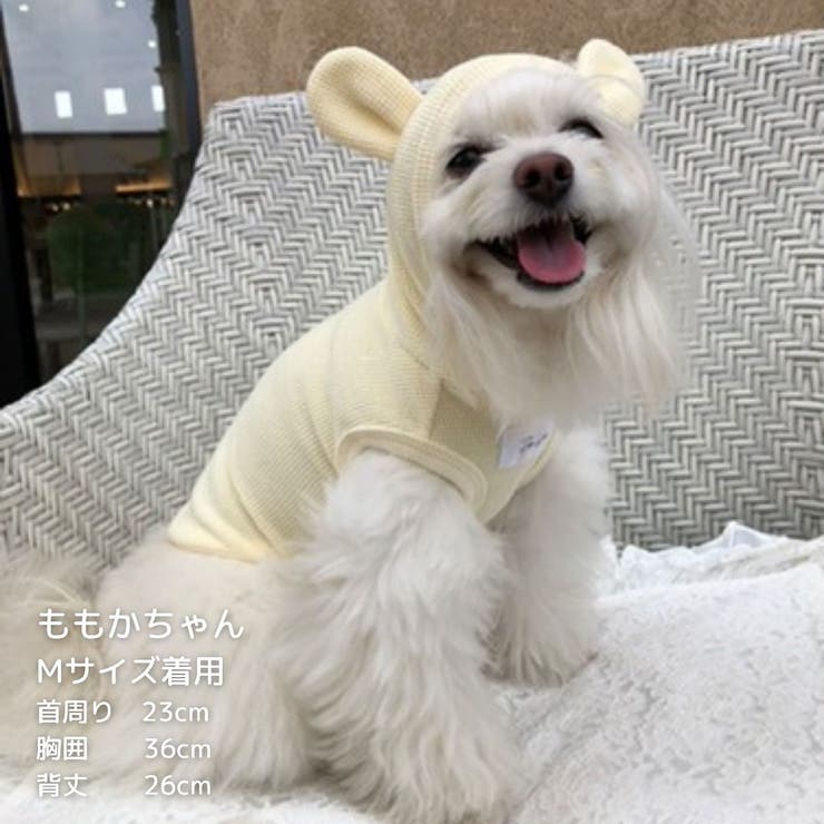 【くま耳フードタンクトップ】S M L | PlusNao | 詳細画像25 