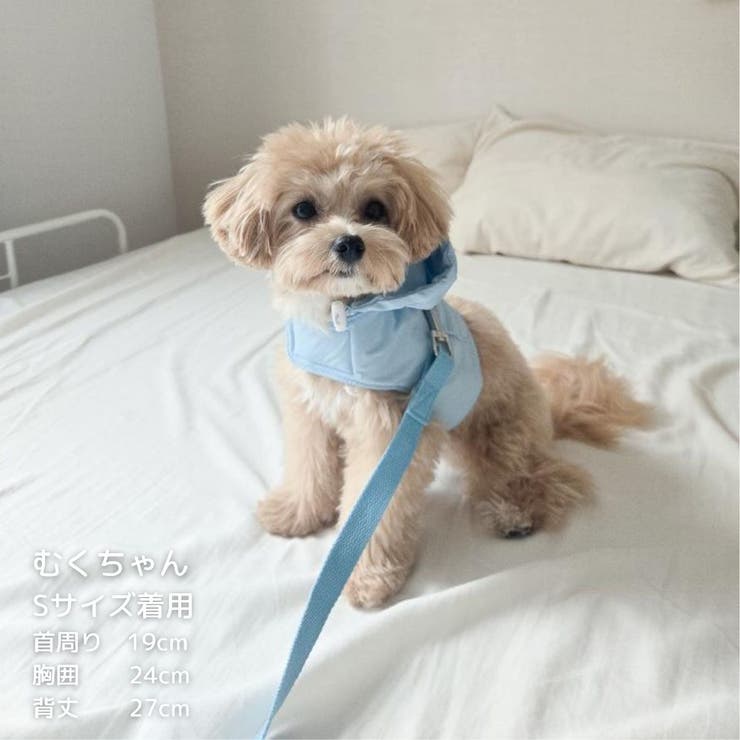 【ナイロンポケットハーネス リードセット】ハーネス リード | PlusNao | 詳細画像16 