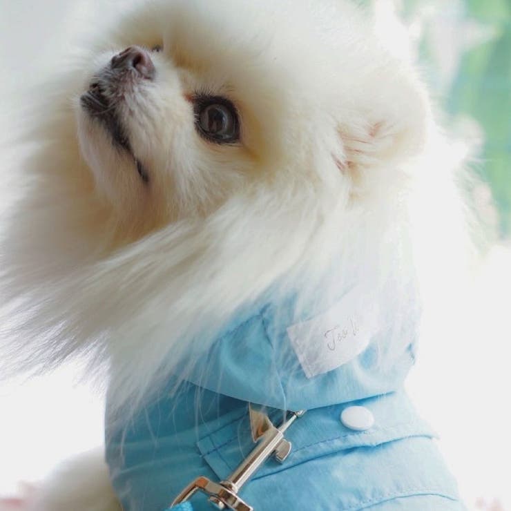 【ナイロンポケットハーネス リードセット】ハーネス リード | PlusNao | 詳細画像21 