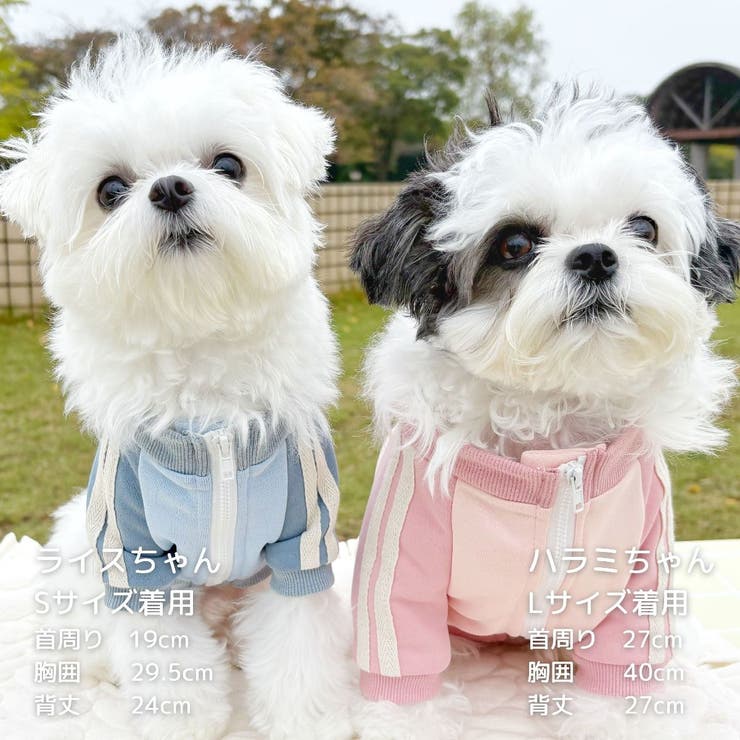 【パステルトラックジャケット】S M Lペットウェア | PlusNao | 詳細画像16 