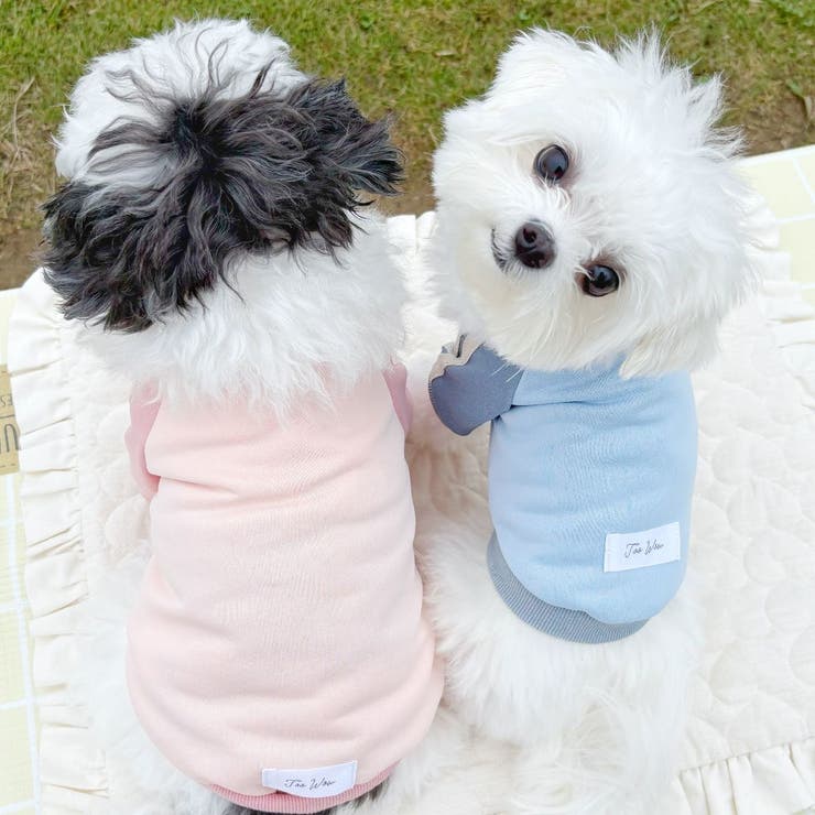 【パステルトラックジャケット】S M Lペットウェア | PlusNao | 詳細画像17 