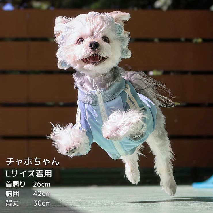 【パステルトラックジャケット】S M Lペットウェア | PlusNao | 詳細画像19 