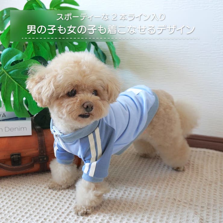 【パステルトラックジャケット】S M Lペットウェア | PlusNao | 詳細画像2 