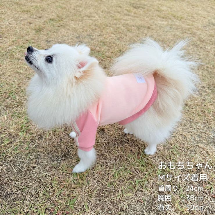 【パステルトラックジャケット】S M Lペットウェア | PlusNao | 詳細画像20 