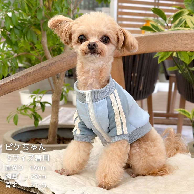 【パステルトラックジャケット】S M Lペットウェア | PlusNao | 詳細画像23 