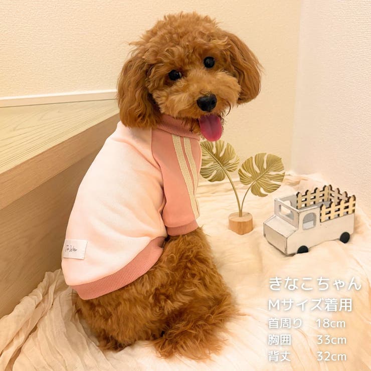 【パステルトラックジャケット】S M Lペットウェア | PlusNao | 詳細画像25 