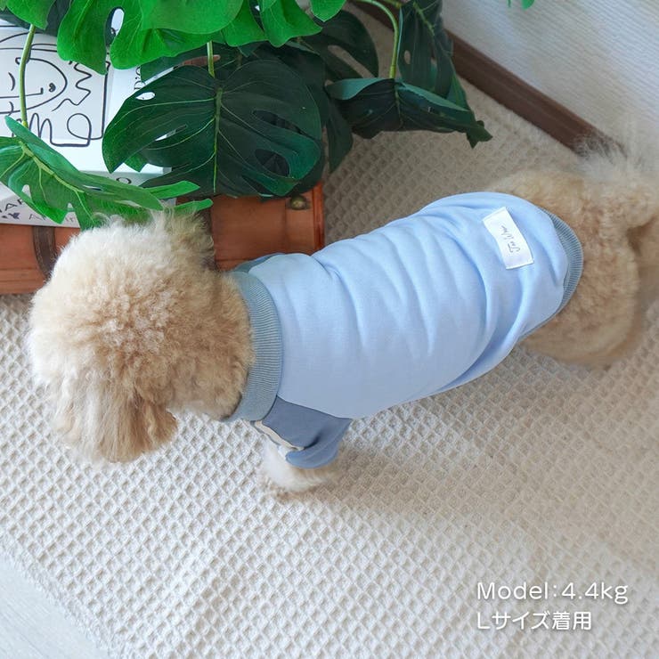 【パステルトラックジャケット】S M Lペットウェア | PlusNao | 詳細画像7 