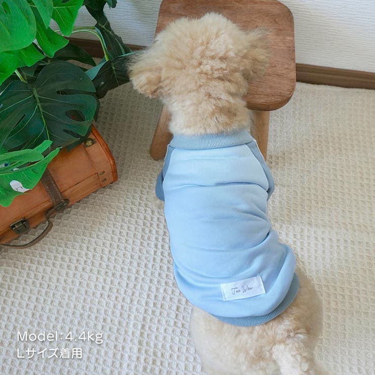 【パステルトラックジャケット】S M Lペットウェア | PlusNao | 詳細画像9 