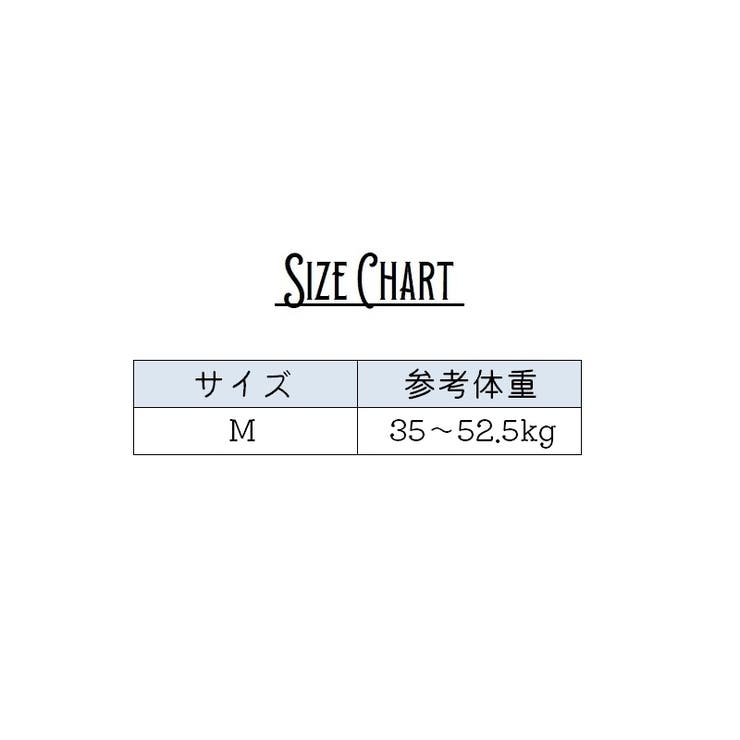 ふんどし型パンツ ふんどし型ショーツ 紐パン | PlusNao | 詳細画像20 