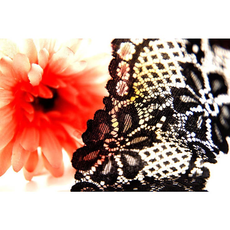 Tバック ショーツ レディース | PlusNao | 詳細画像11 