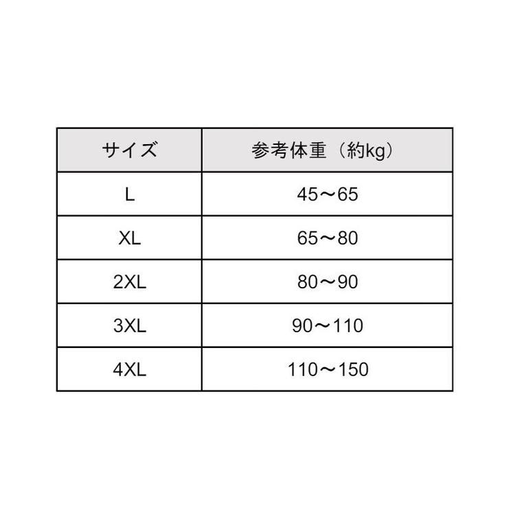 スタンダードショーツ レディース 女性 | PlusNao | 詳細画像20 