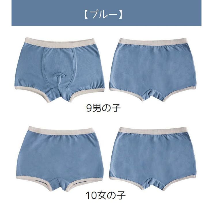 ネペンテス NEPENTHES ボクサーパンツ　インナー GUNZE グンゼ 綿100% ボクサーパンツ 2枚セット M〜LL (メンズ