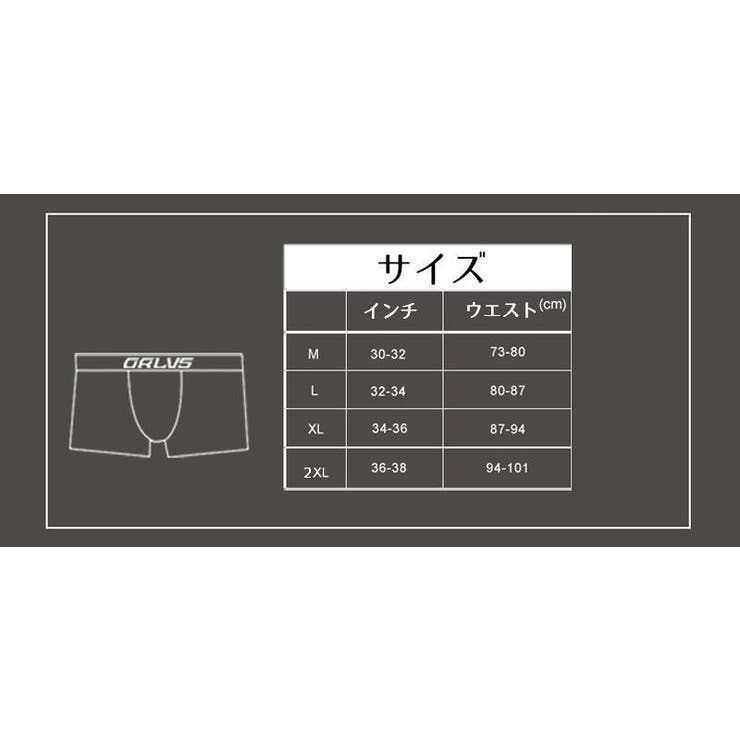 ブリーフ パンツ 下着 | PlusNao | 詳細画像11 