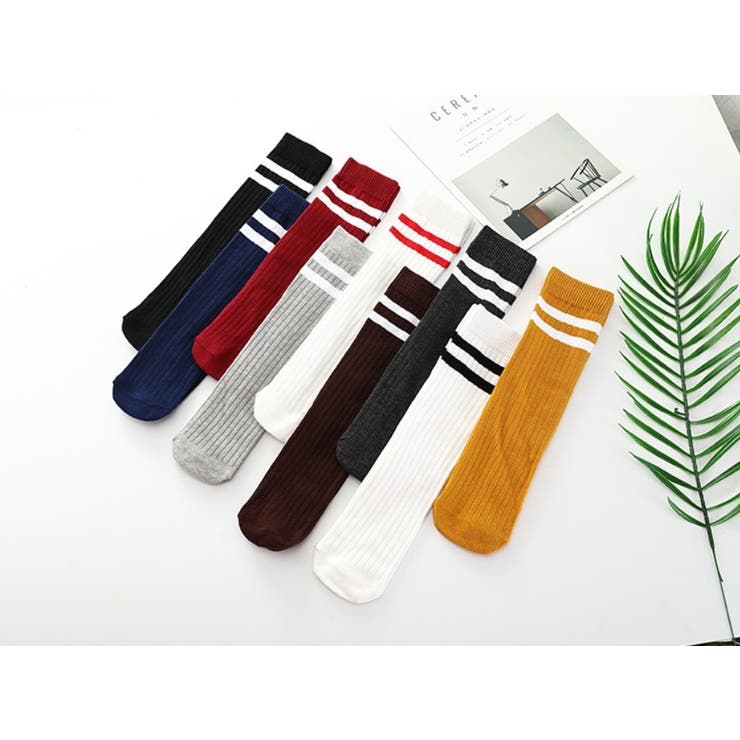 靴下 キッズ ジュニア | PlusNao | 詳細画像15 