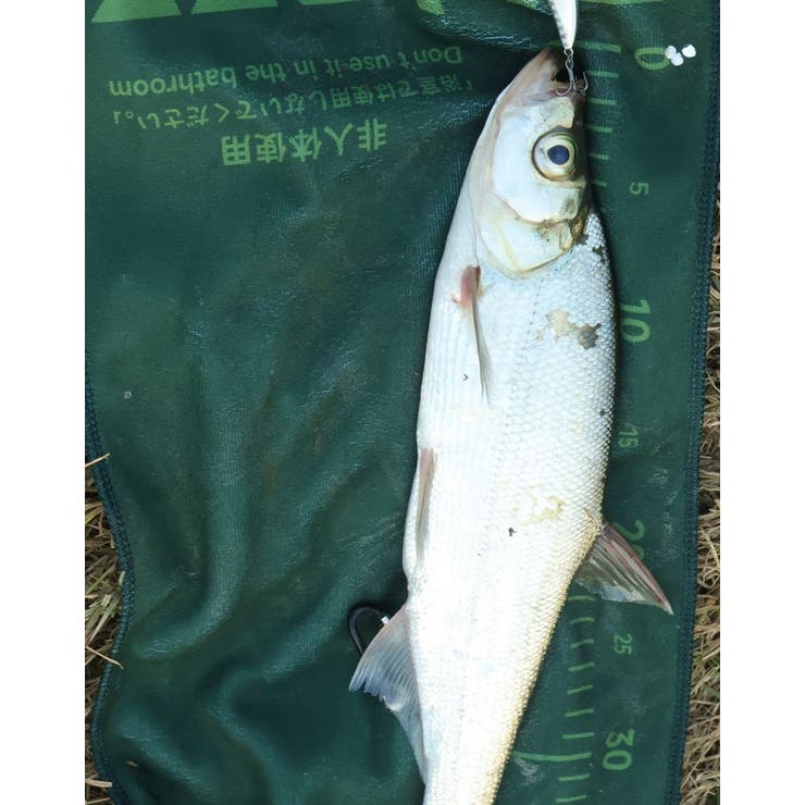 フィッシングタオル 魚計測 50cm | PlusNao | 詳細画像5 