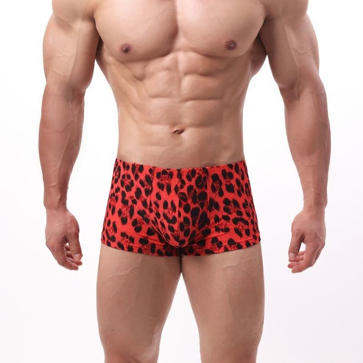 ボクサーパンツ ボクサーブリーフ メンズインナー | PlusNao | 詳細画像7 