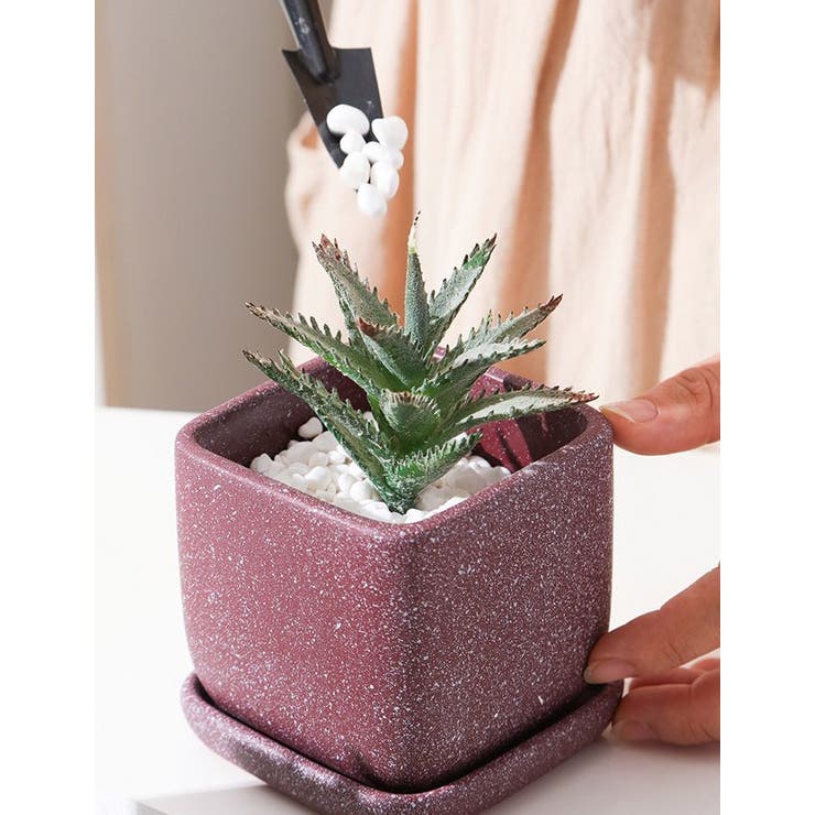 植木鉢 フラワーポット 陶器 | PlusNao | 詳細画像2 