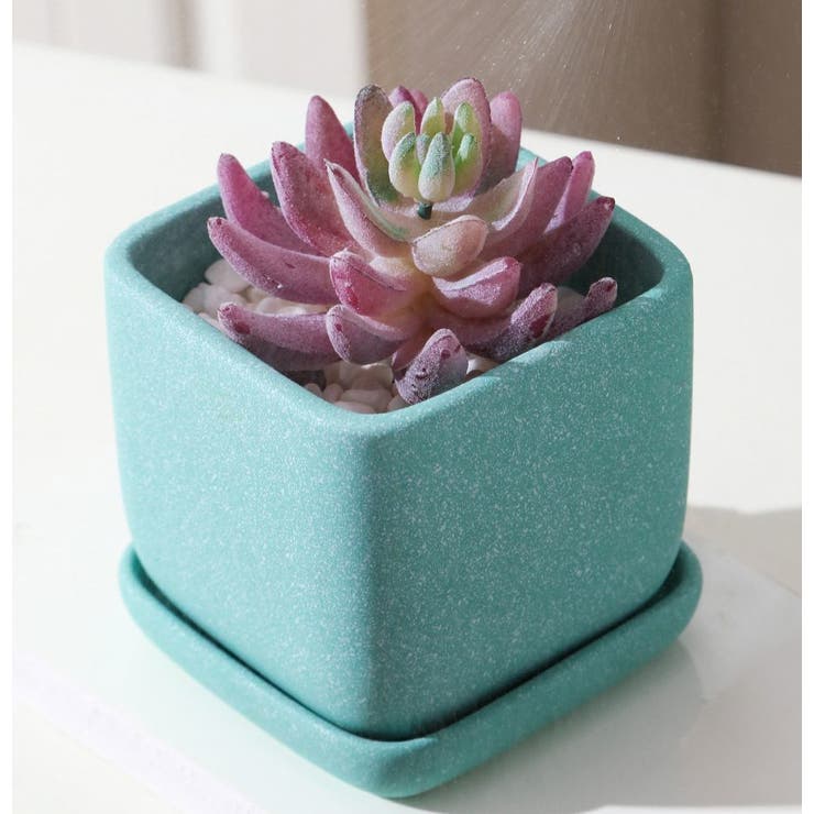 植木鉢 フラワーポット 陶器 | PlusNao | 詳細画像4 