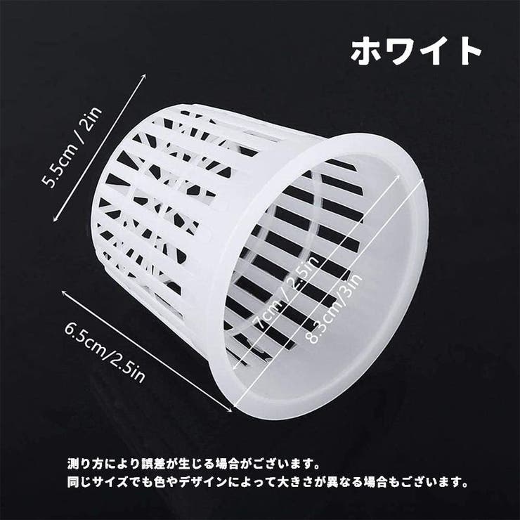 2024実生苗セットo 4センチポット