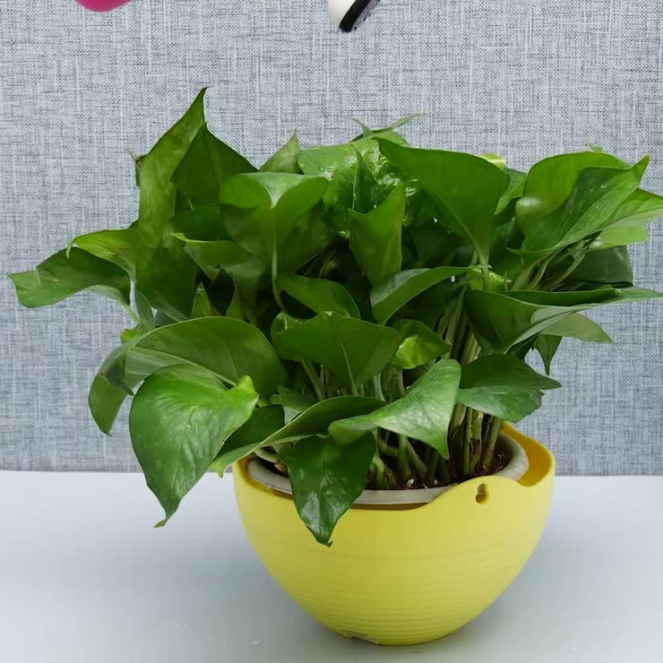 ハンギングバスケット ハンギングポット 吊り鉢 | PlusNao | 詳細画像4 