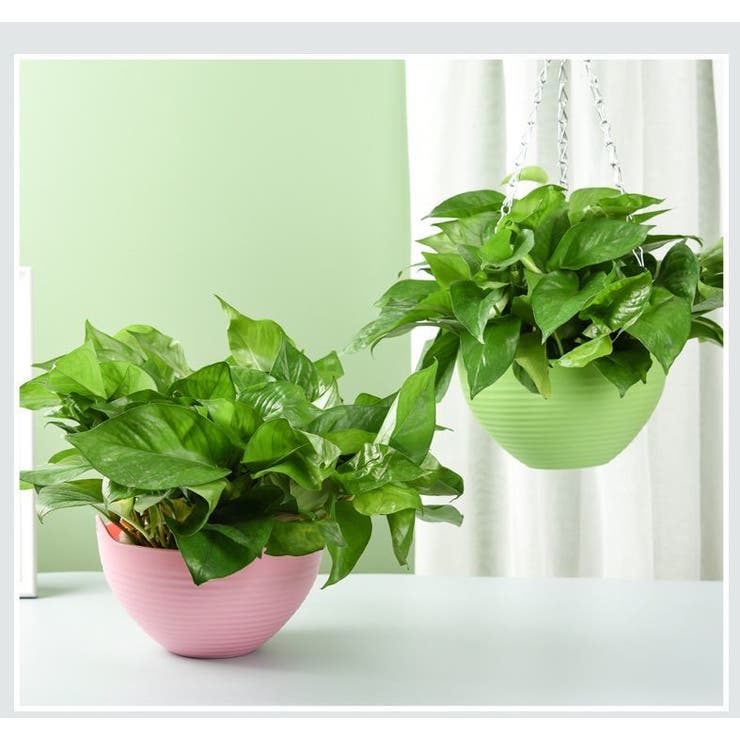 ハンギングバスケット ハンギングポット 吊り鉢 | PlusNao | 詳細画像5 